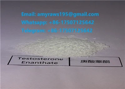 अमेरिका, यूरोपीय संघ, कनाडा घरेलू डिलीवरी के साथ 99.6% शुद्धता टेस्टो एनान